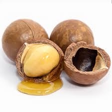 Macadamia.jpg