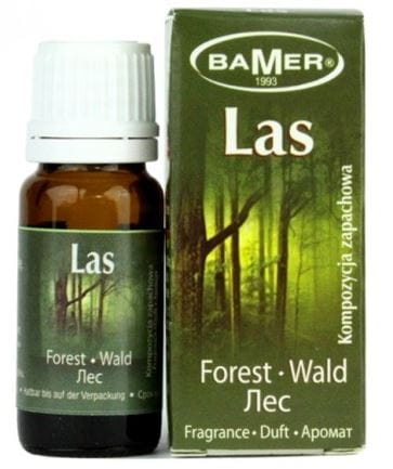 Kompozycja zapachowa Las