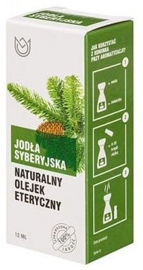 Jodła Syberyjska